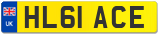 HL61 ACE