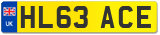 HL63 ACE