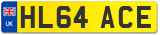 HL64 ACE