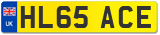 HL65 ACE