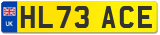 HL73 ACE