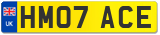 HM07 ACE