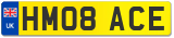HM08 ACE