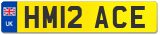 HM12 ACE