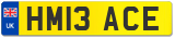 HM13 ACE