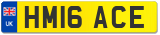 HM16 ACE