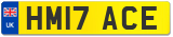 HM17 ACE