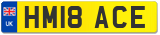 HM18 ACE