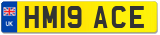 HM19 ACE