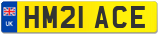 HM21 ACE