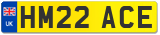 HM22 ACE