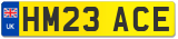 HM23 ACE