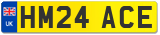 HM24 ACE