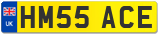 HM55 ACE
