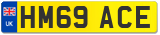 HM69 ACE