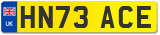 HN73 ACE