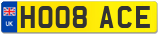 HO08 ACE