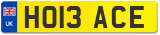 HO13 ACE
