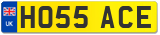 HO55 ACE