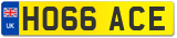 HO66 ACE
