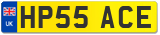 HP55 ACE