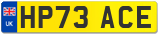 HP73 ACE