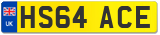 HS64 ACE