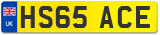 HS65 ACE