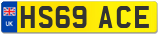 HS69 ACE