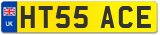 HT55 ACE