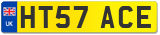 HT57 ACE