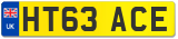 HT63 ACE