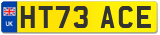 HT73 ACE