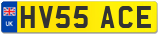 HV55 ACE