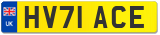 HV71 ACE