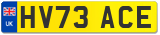 HV73 ACE