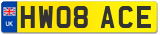HW08 ACE