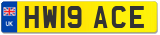 HW19 ACE