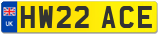HW22 ACE