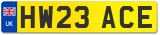 HW23 ACE