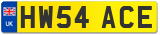 HW54 ACE