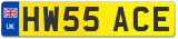 HW55 ACE