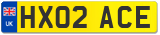 HX02 ACE