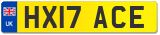 HX17 ACE