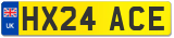 HX24 ACE