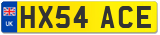 HX54 ACE