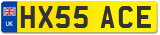 HX55 ACE