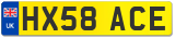 HX58 ACE