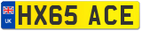 HX65 ACE