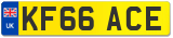 KF66 ACE